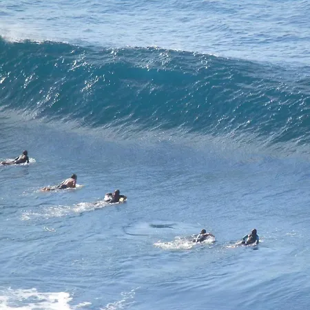 Vv Los Delfines Icod Διαμέρισμα *