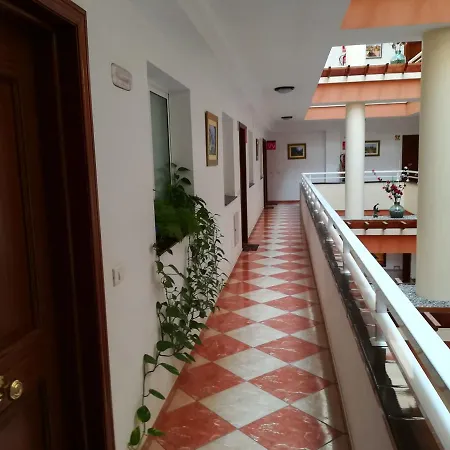 Vv Los Delfines Icod Apartment