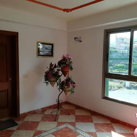 Vv Los Delfines Icod Apartment *